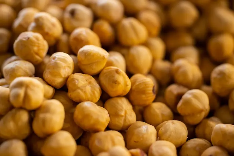 لوبیا گاربانزو